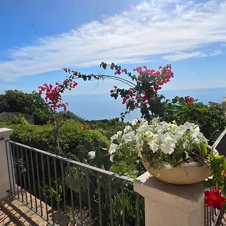 Apartamento Perla Marina -vasto- 300 Mt Dal Mare *