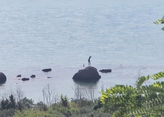 شقة Perla Marina -vasto- 300 Mt Dal Mare فاستو